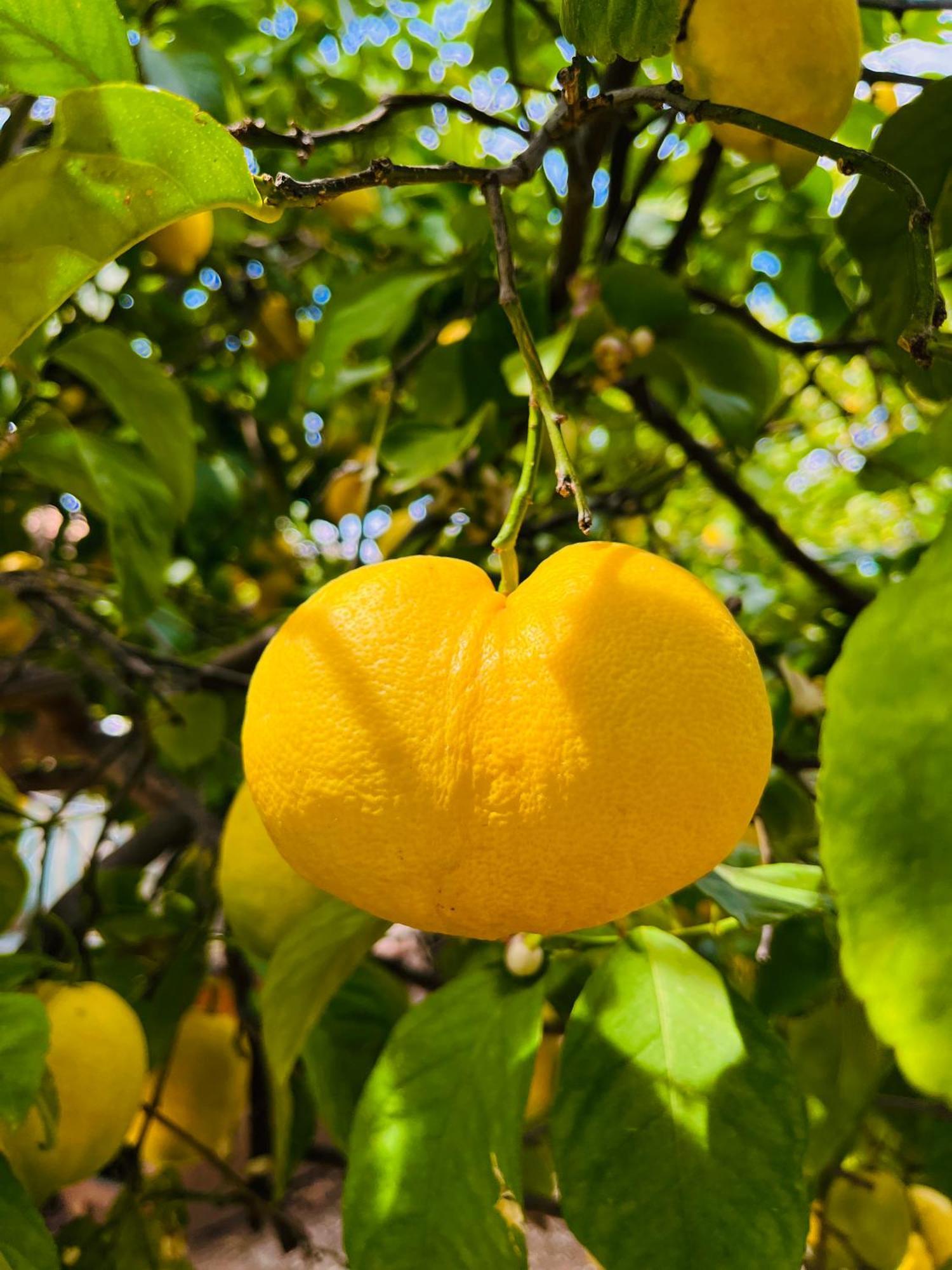 Gelidonya Pansiyon Kumluca Buitenkant foto